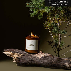 
            
                Load image into Gallery viewer, SNOWY FOREST CANDLE (FORET ENNEIGEE)
            
        