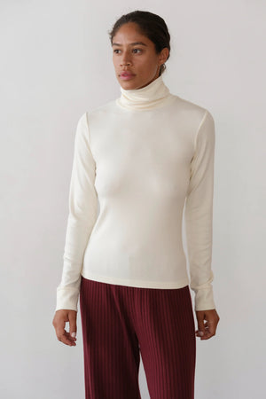 THE BABY RIB TURTLENECK